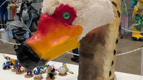 江苏女子手球队夺得中国手球超级联赛冠军头衔